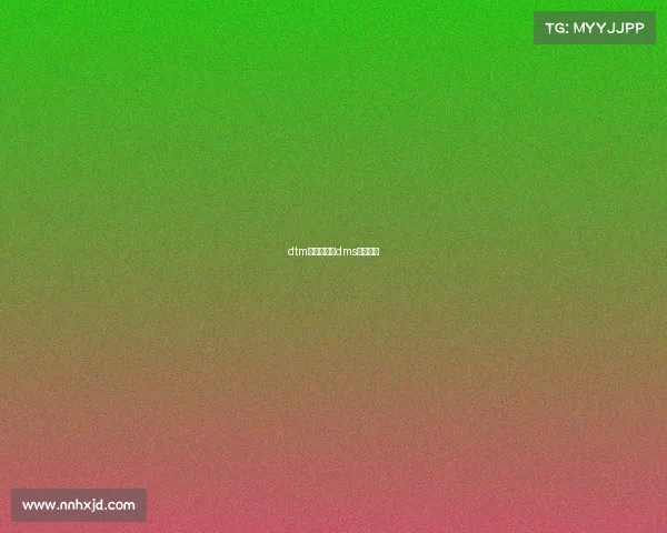 dtm新赛事方案dms赛事规则